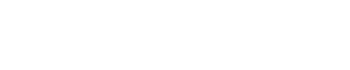 Primary horizontal lockup — white, transparent